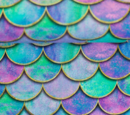 Bombažni jersey Morska deklica - barvita - 801